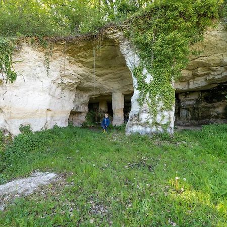 Villa Logis De Bois Roche Saint-Bonnet-sur-Gironde Exterior foto