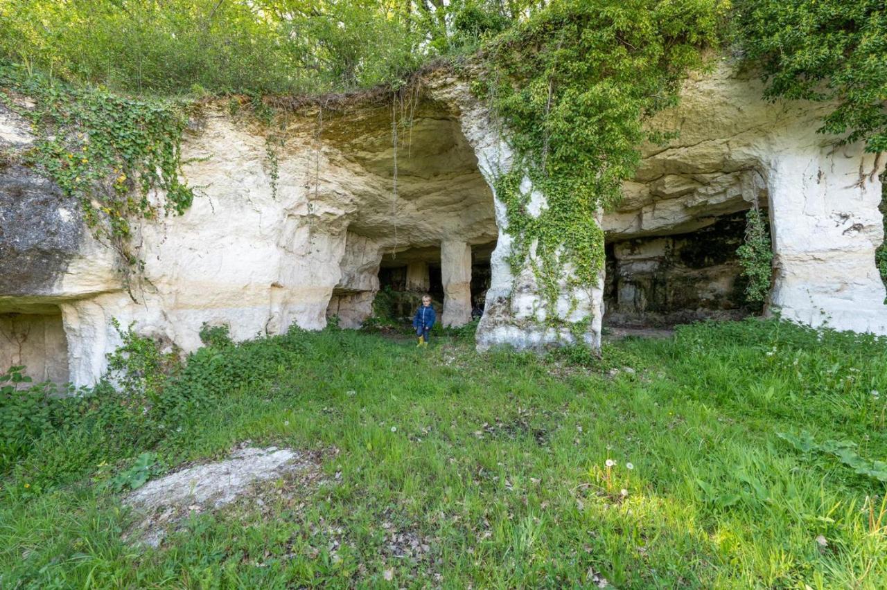 Villa Logis De Bois Roche Saint-Bonnet-sur-Gironde Exterior foto