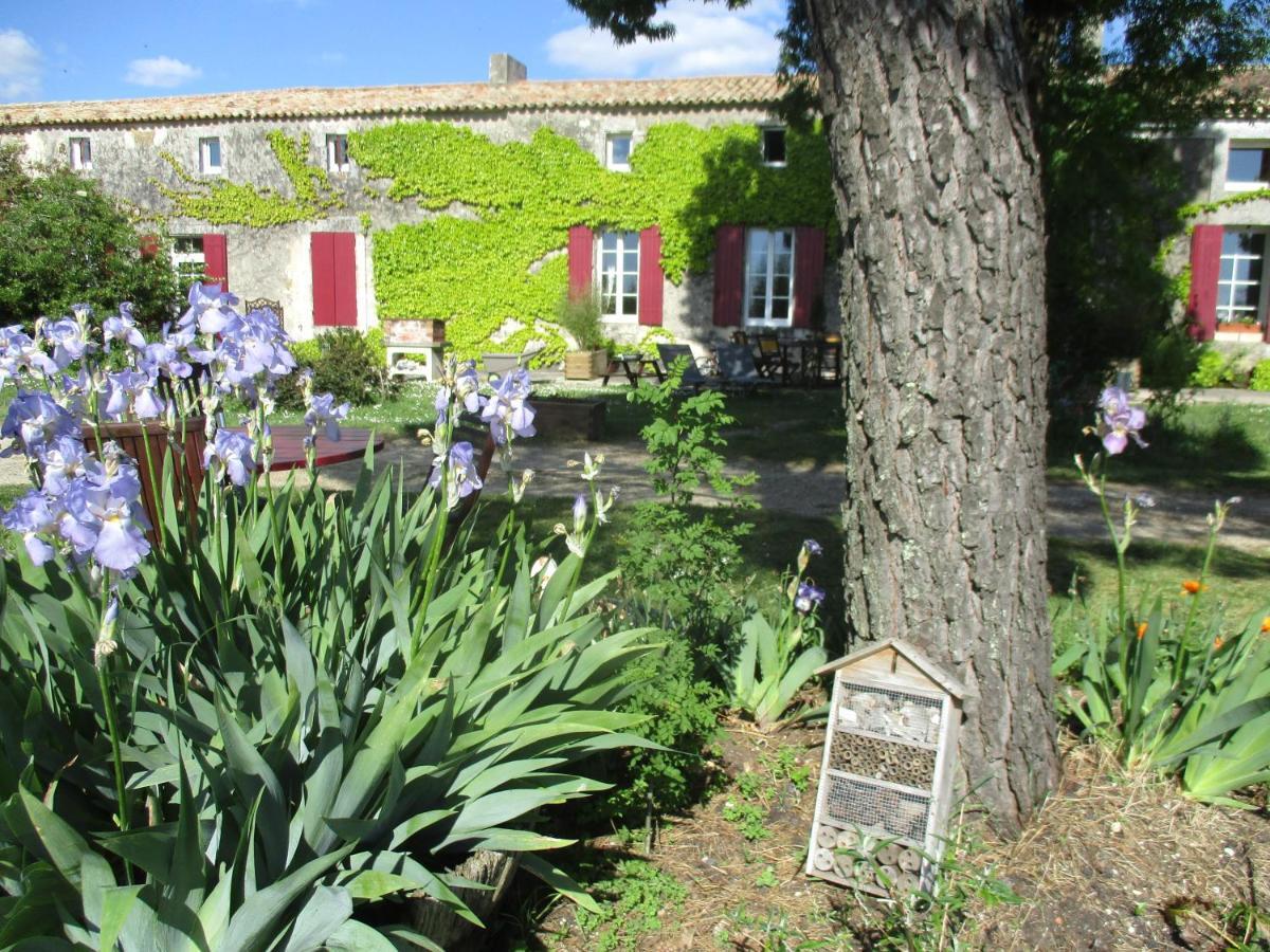 Villa Logis De Bois Roche Saint-Bonnet-sur-Gironde Exterior foto